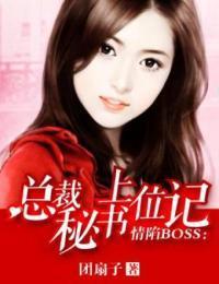 情陷BOSS：总裁秘书上位记